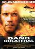 Dao colateral
