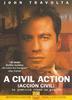 Accin civil